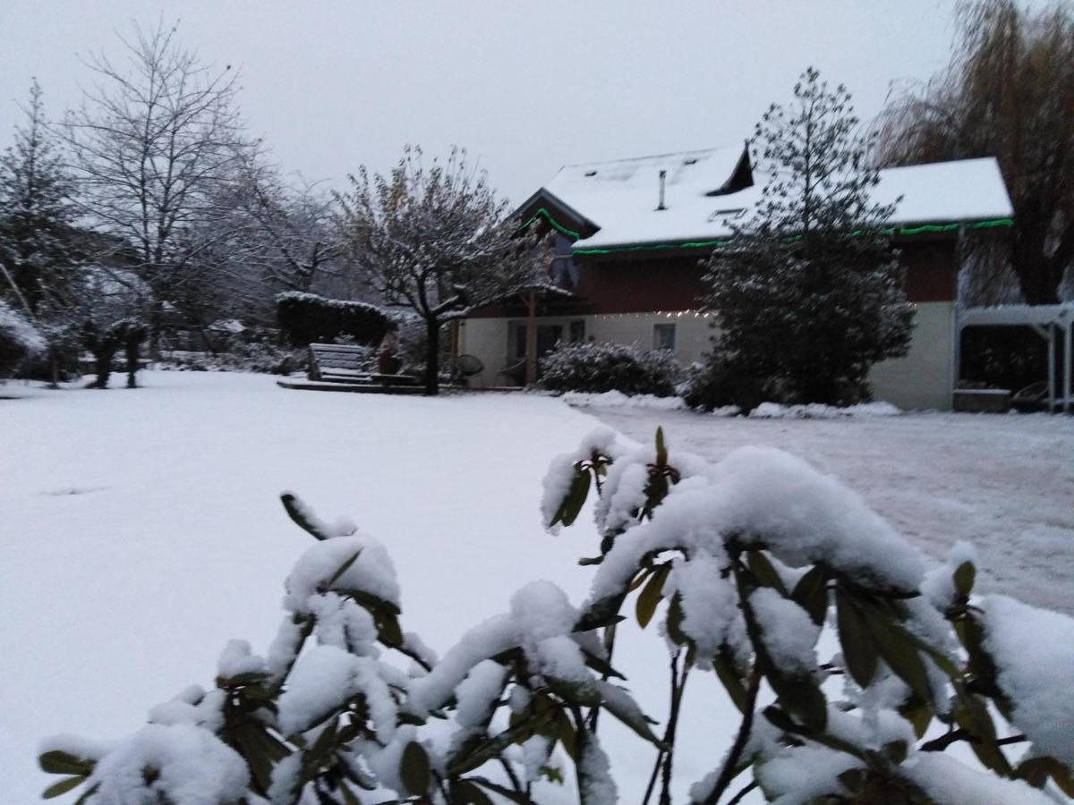 Chalet La Bachole Charancieu Экстерьер фото